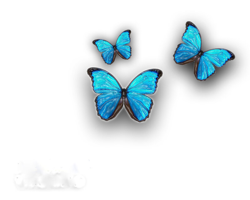Three blue butterflies