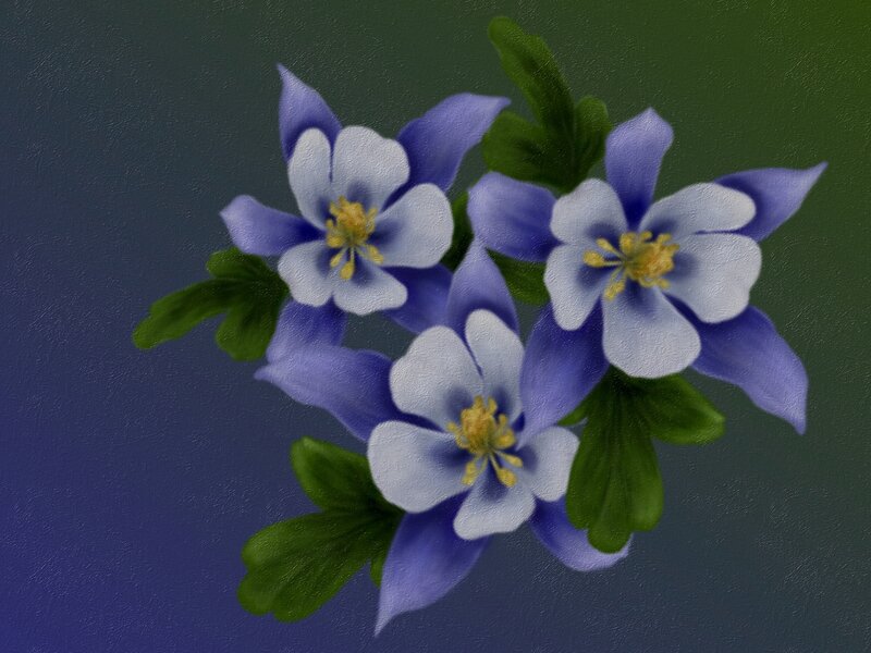 Three Blue Flowers — Calm