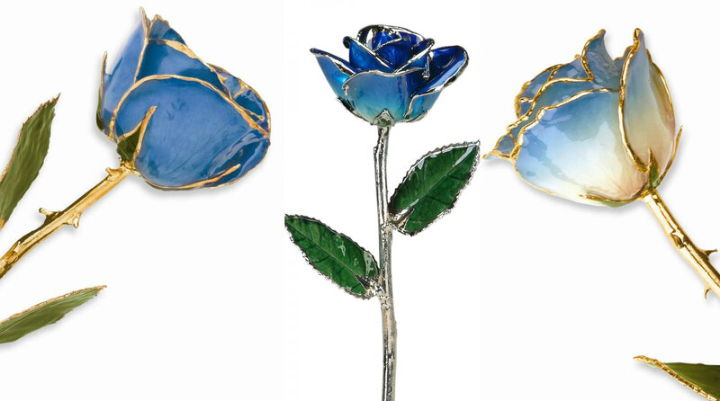 Three Blue Roses — Calm, Photograph