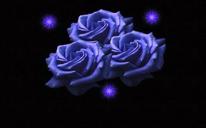 Three Blue Roses — Dramatic, Night, Digital Art