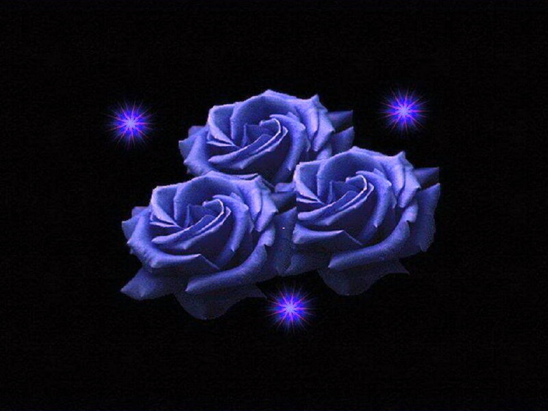 Three Blue Roses — Dramatic, Night