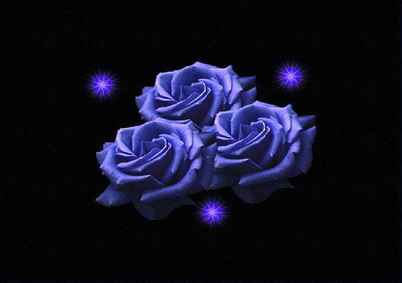 Three Blue Roses — Dramatic