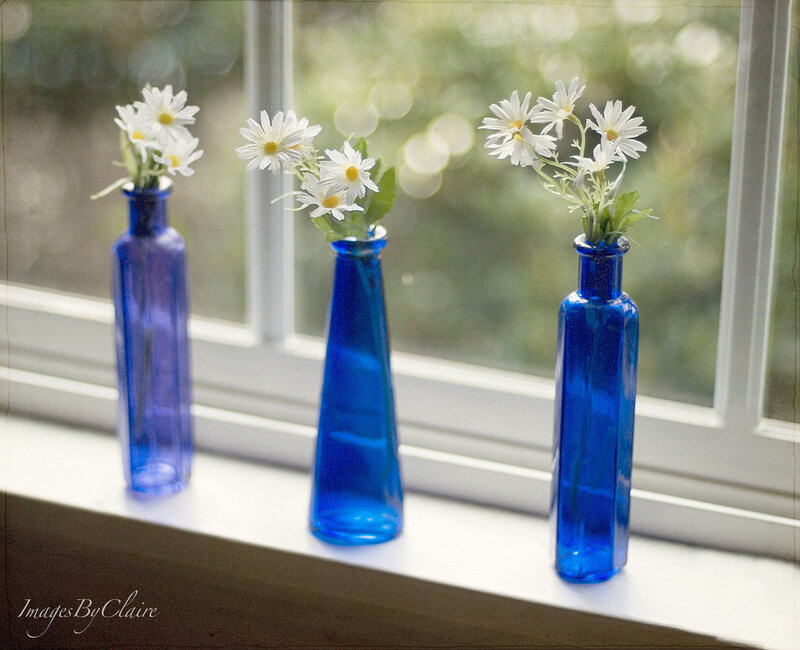 Three Blue Vases with Daisies
