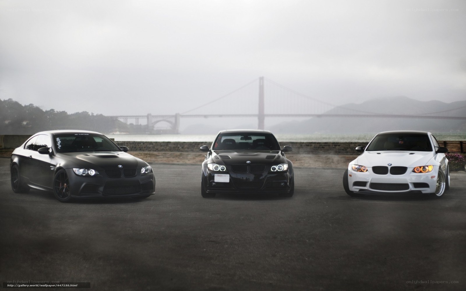 Three BMW M3 cars on a foggy day