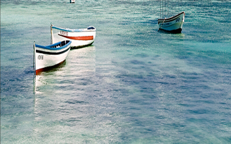 Three Boats in Water