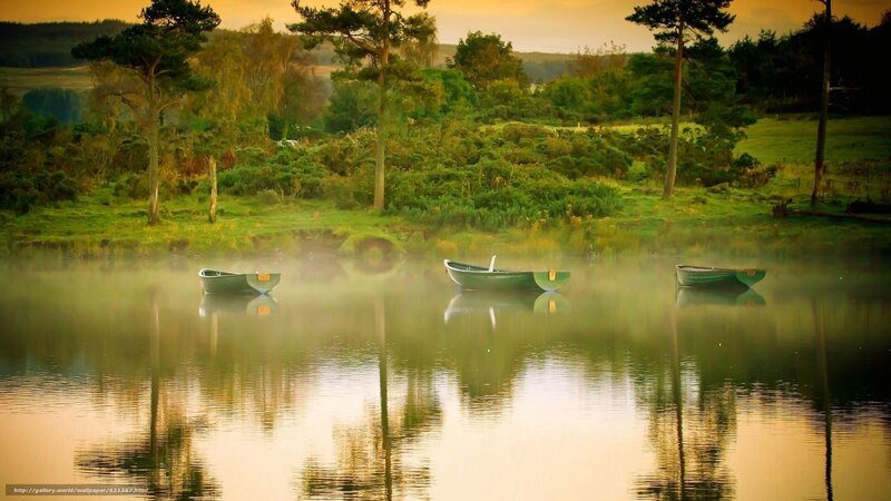 Three Boats on a Lake — Green, Serene, Morning, Photograph