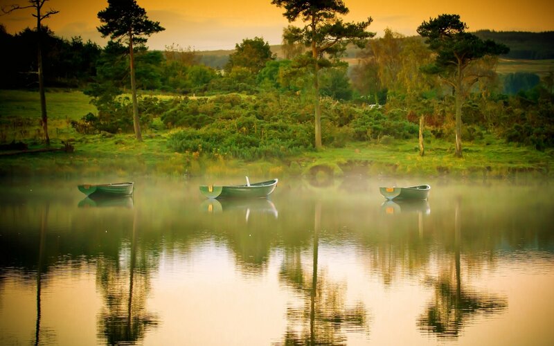 Three Boats on a Lake — Green, Serene