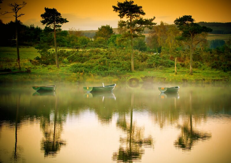 Three Boats on a Lake — Green