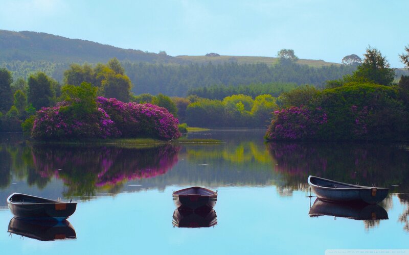 Three Boats on a Lake