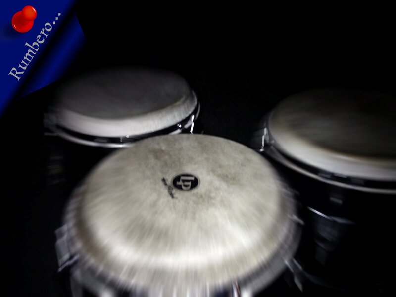 Three Bongos in Motion