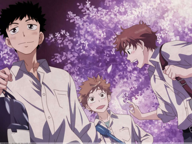 Three boys under cherry blossoms