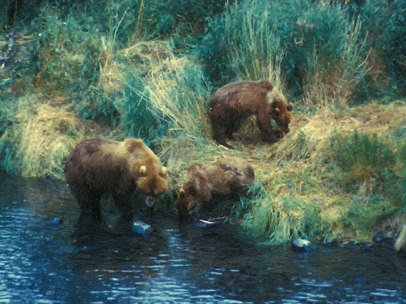 Three Brown Bears in River — Natural
