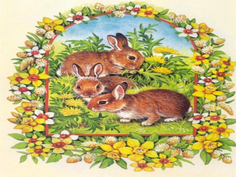 Three Brown Bunnies