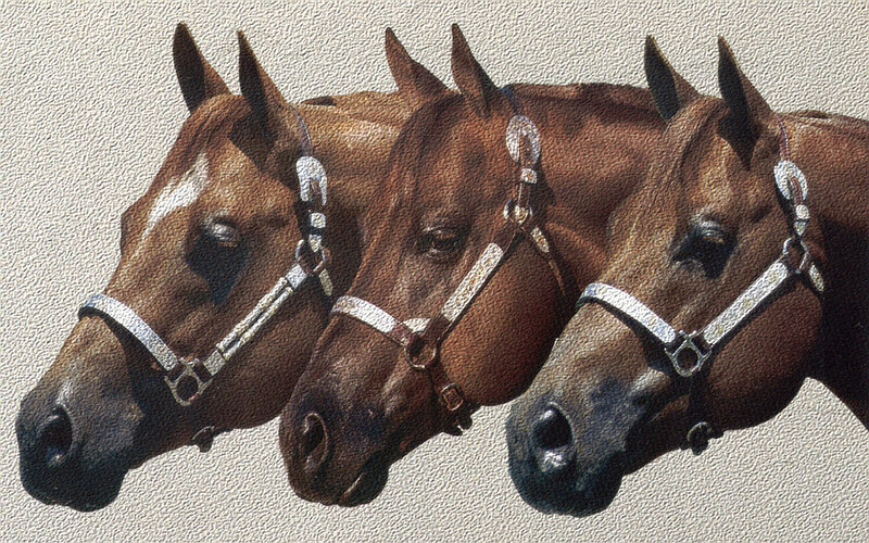 Three Brown Horses — Calm, Painting