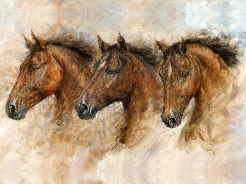 Three Brown Horses — Calm