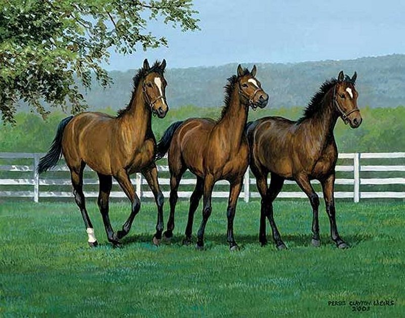 Three Brown Horses — Green
