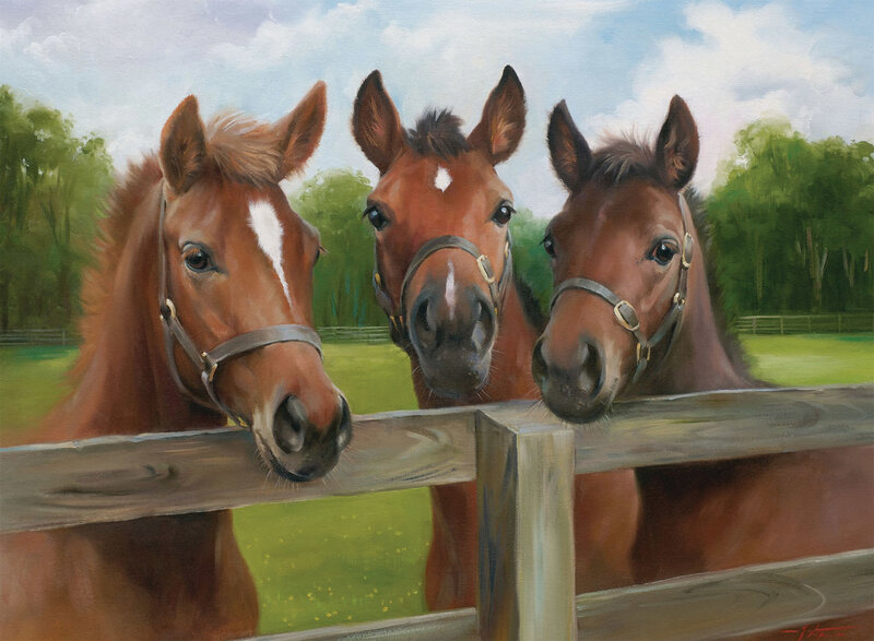 Three Brown Horses