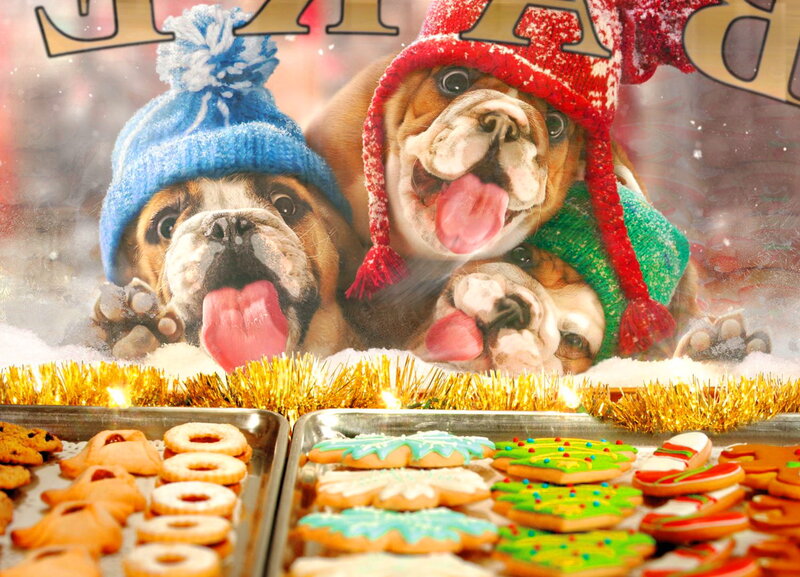 Three Bulldog Puppies — White, Festive