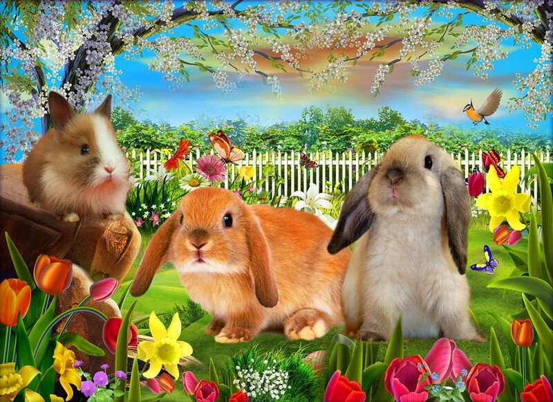 Three Bunnies in Garden