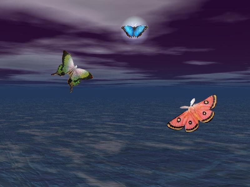 Three Butterflies Flying