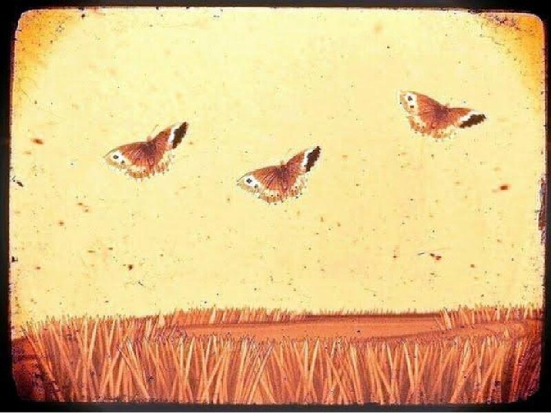 Three Butterflies Flying — Yellow