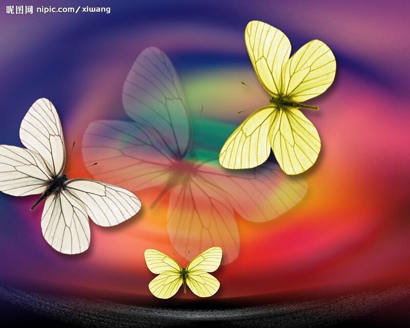 Three Butterflies in Flight — Yellow