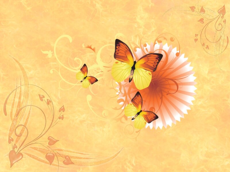 Three Butterflies on Flower — Orange, Calm
