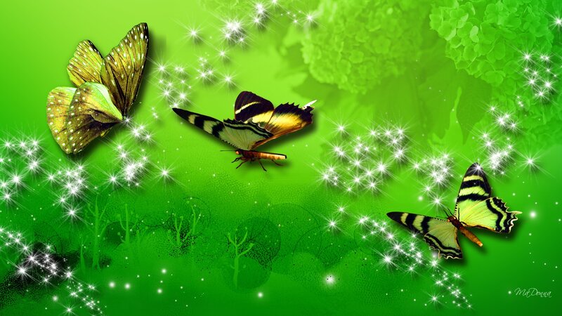 Three Butterflies on Green