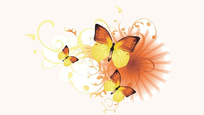 Three Butterflies on Swirls