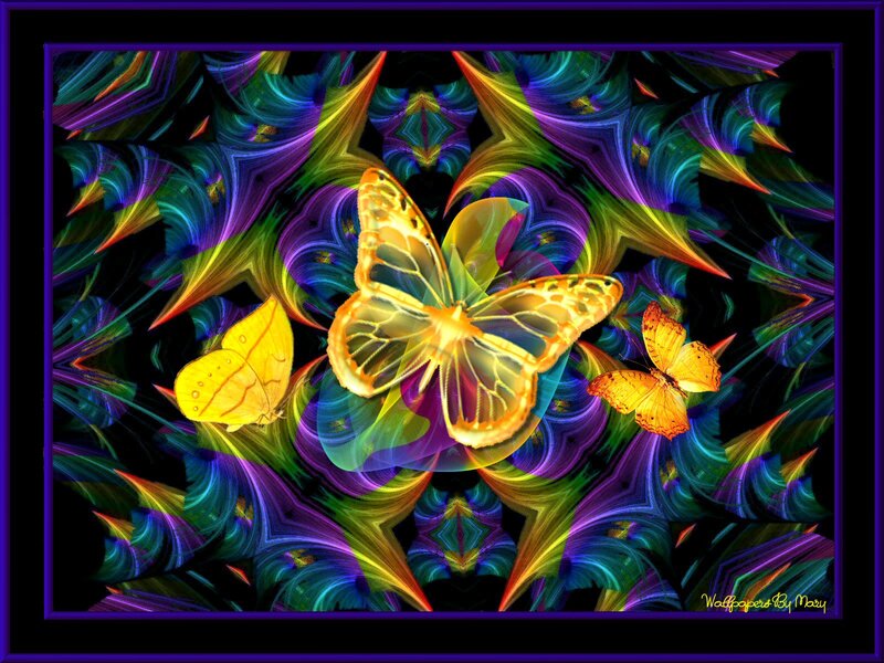 Three Butterflies
