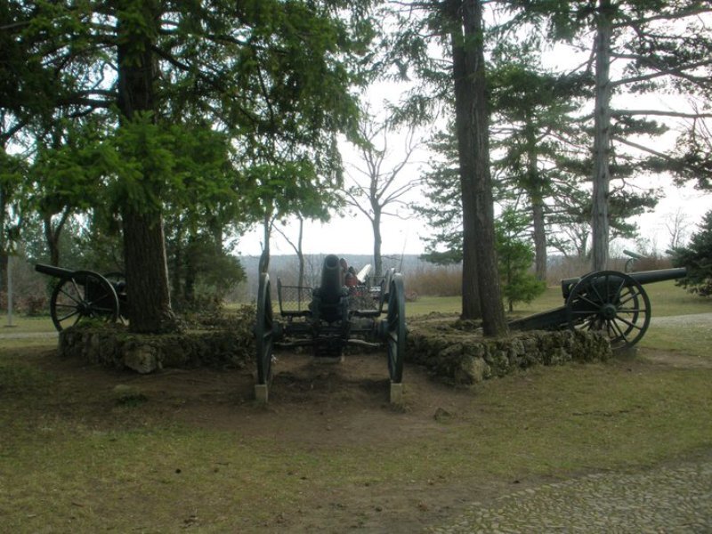 Three Cannons in Park