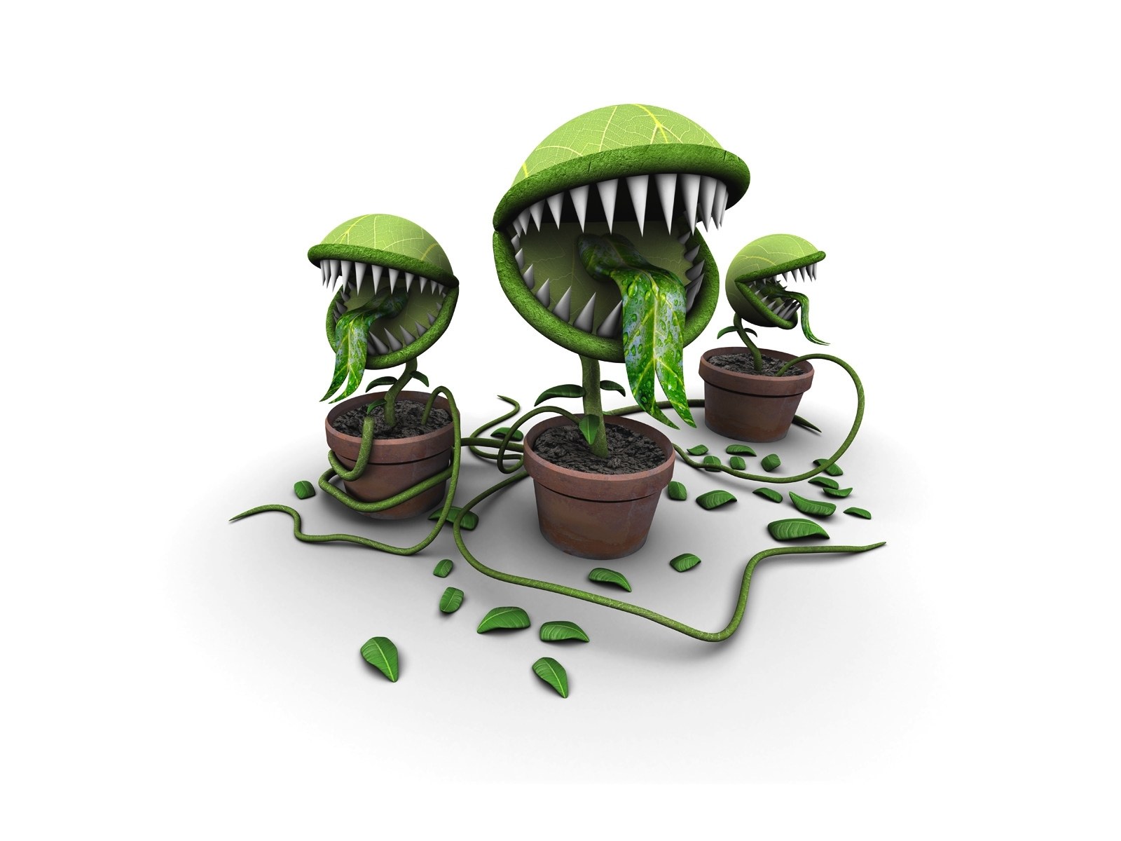 three carnivorous plants