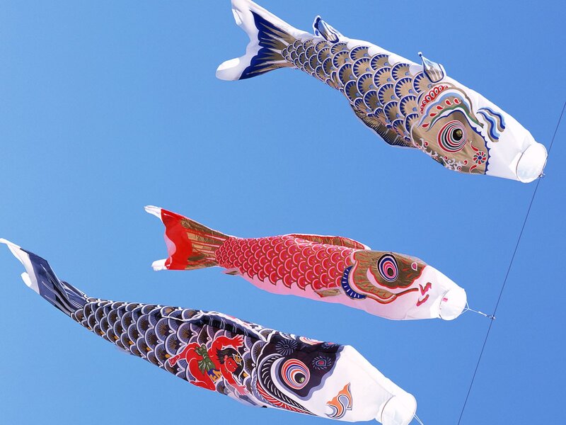 Three Carp Streamers — Blue