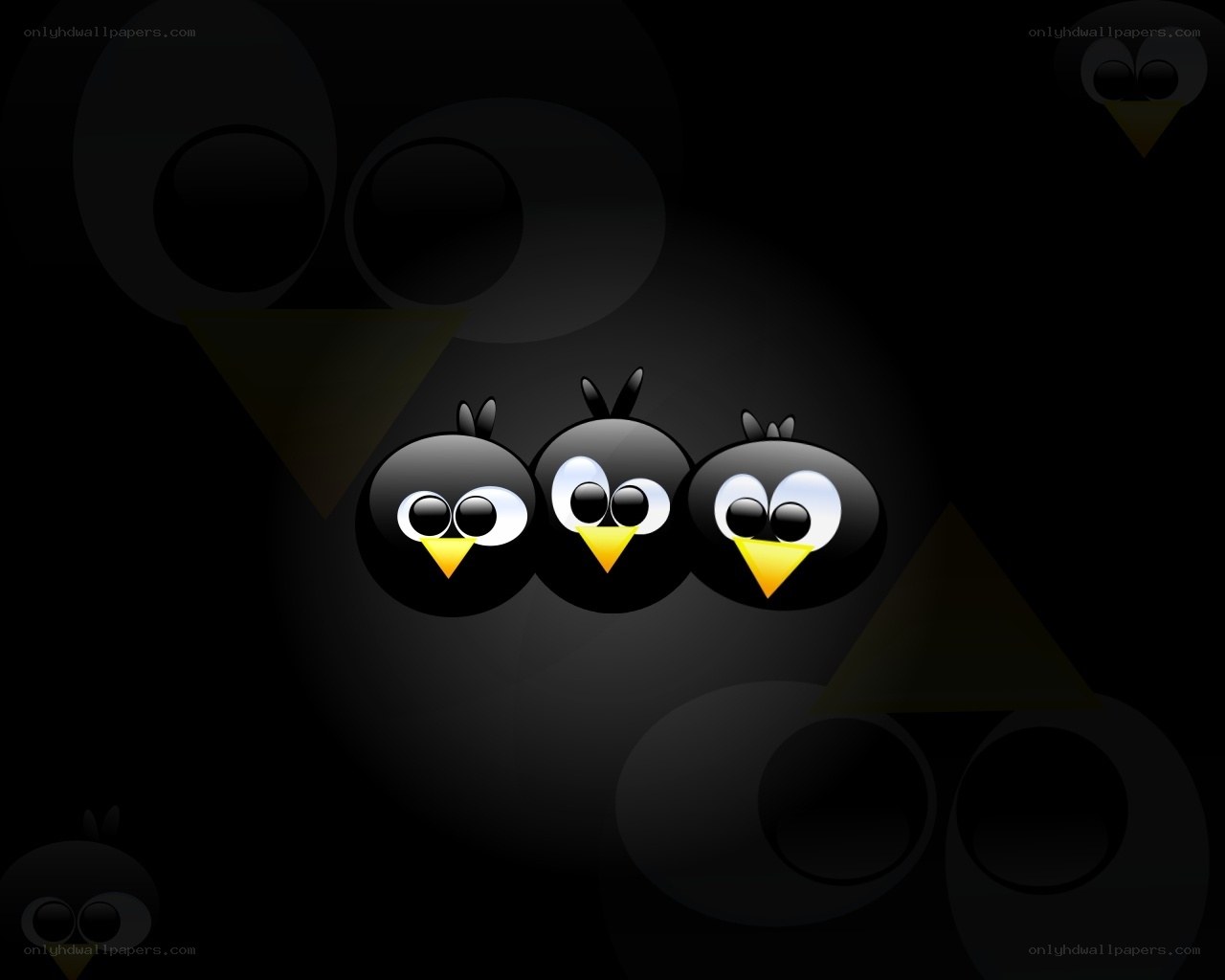 three cartoon birds on black