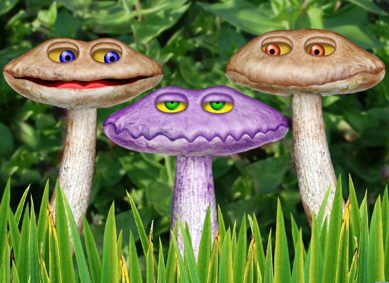 three cartoon mushrooms in grass