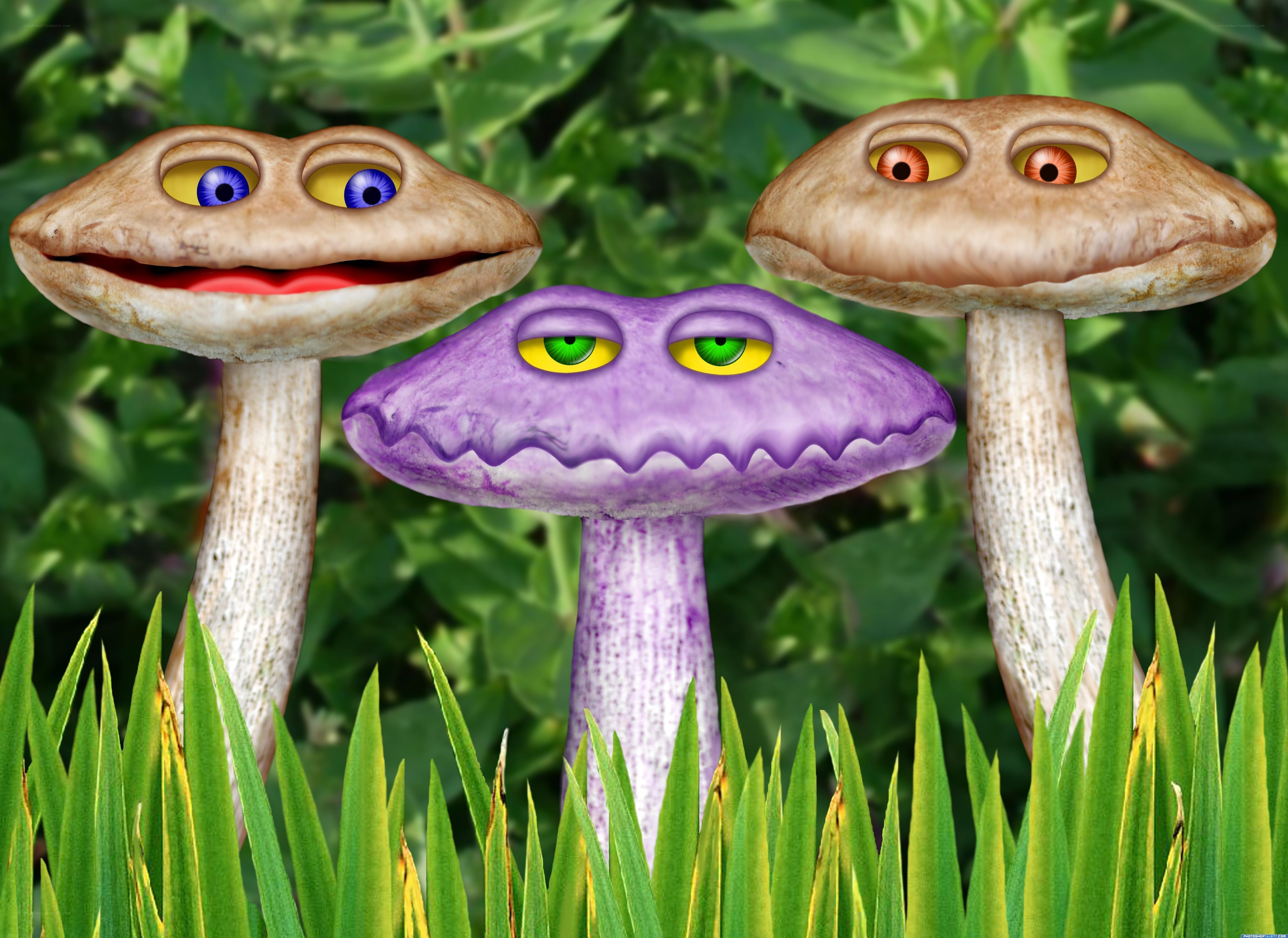 three cartoon mushrooms in grass