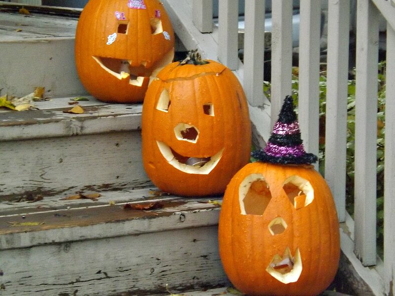 Three Carved Pumpkins — Orange, Festive, Autumn, Photograph