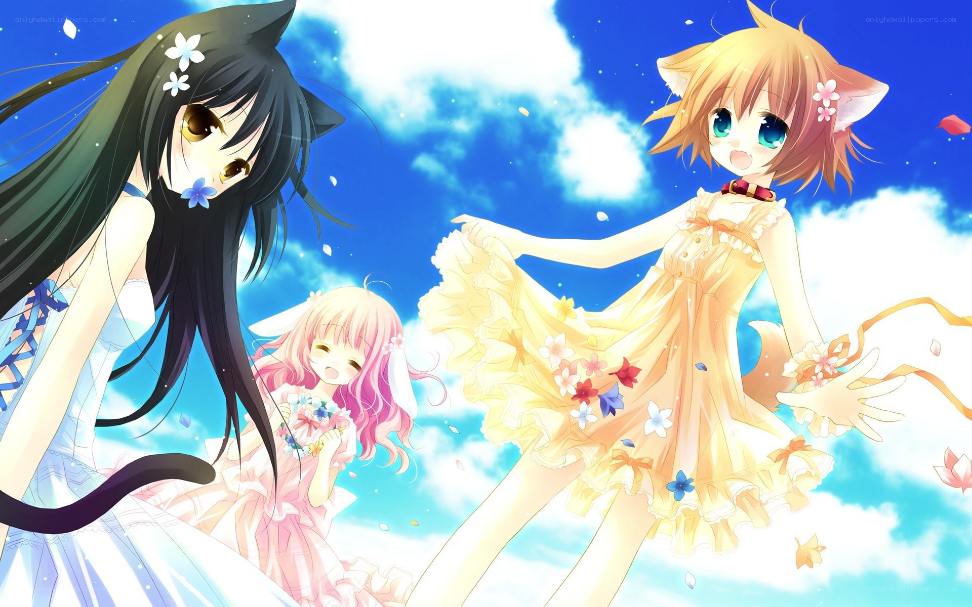 Three cat girls in a sky