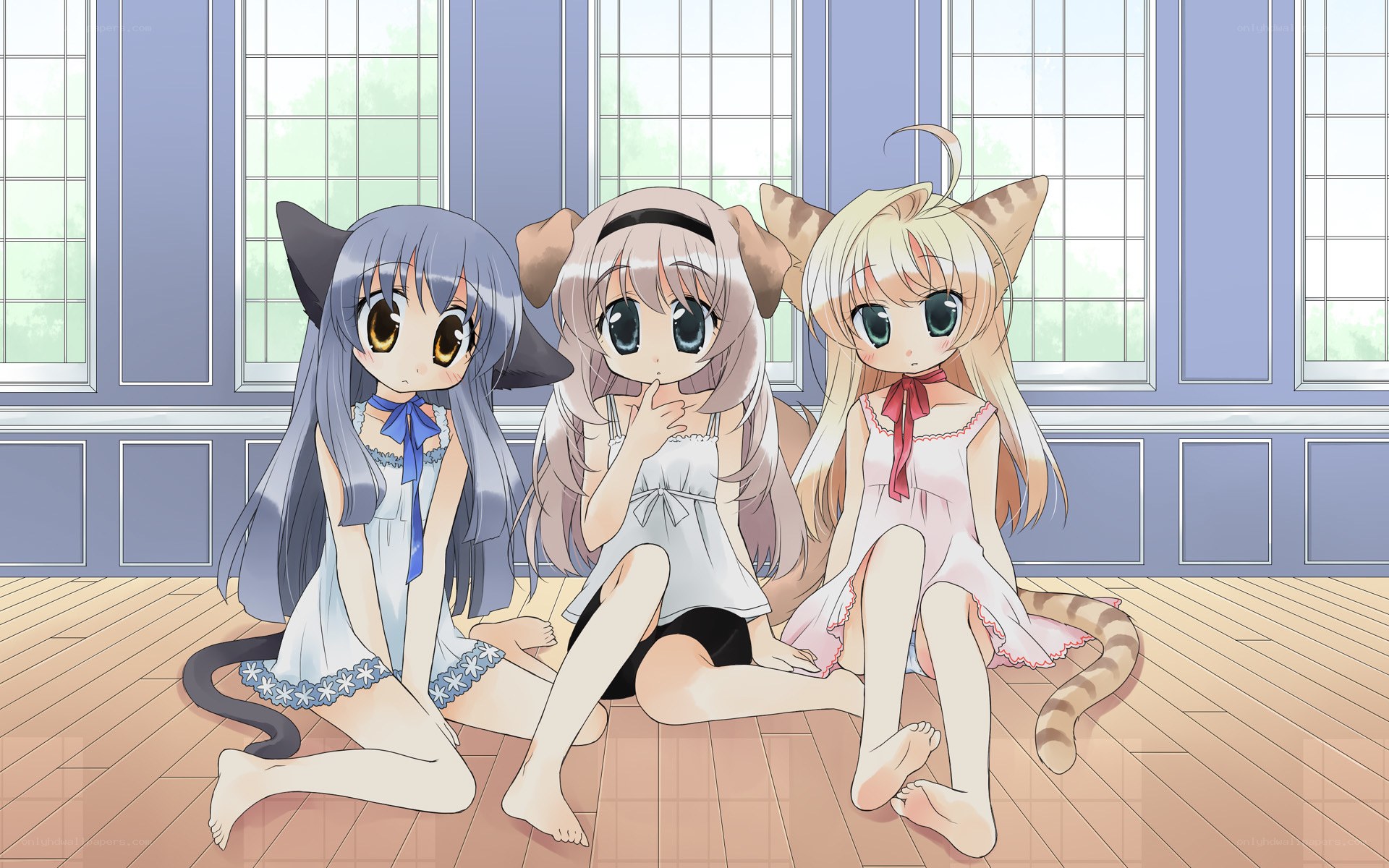 three cat girls sitting together