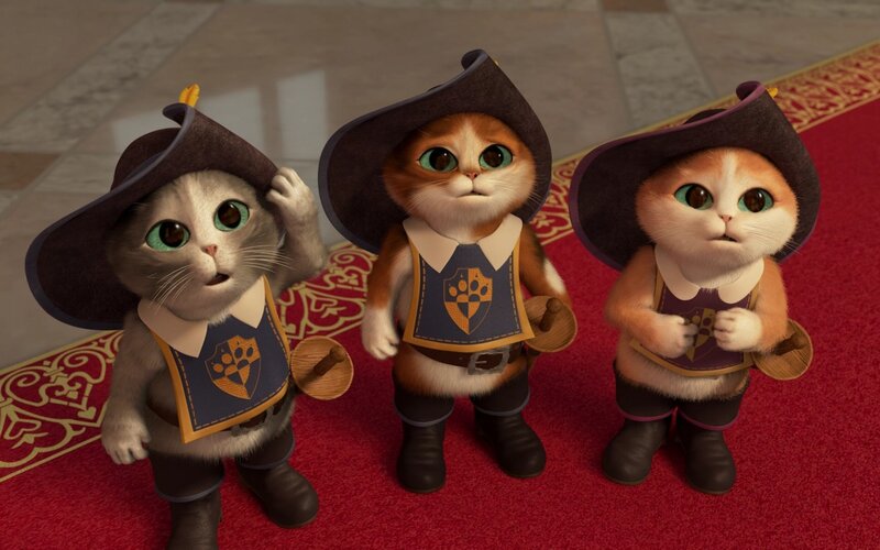 Three Cat Musketeers