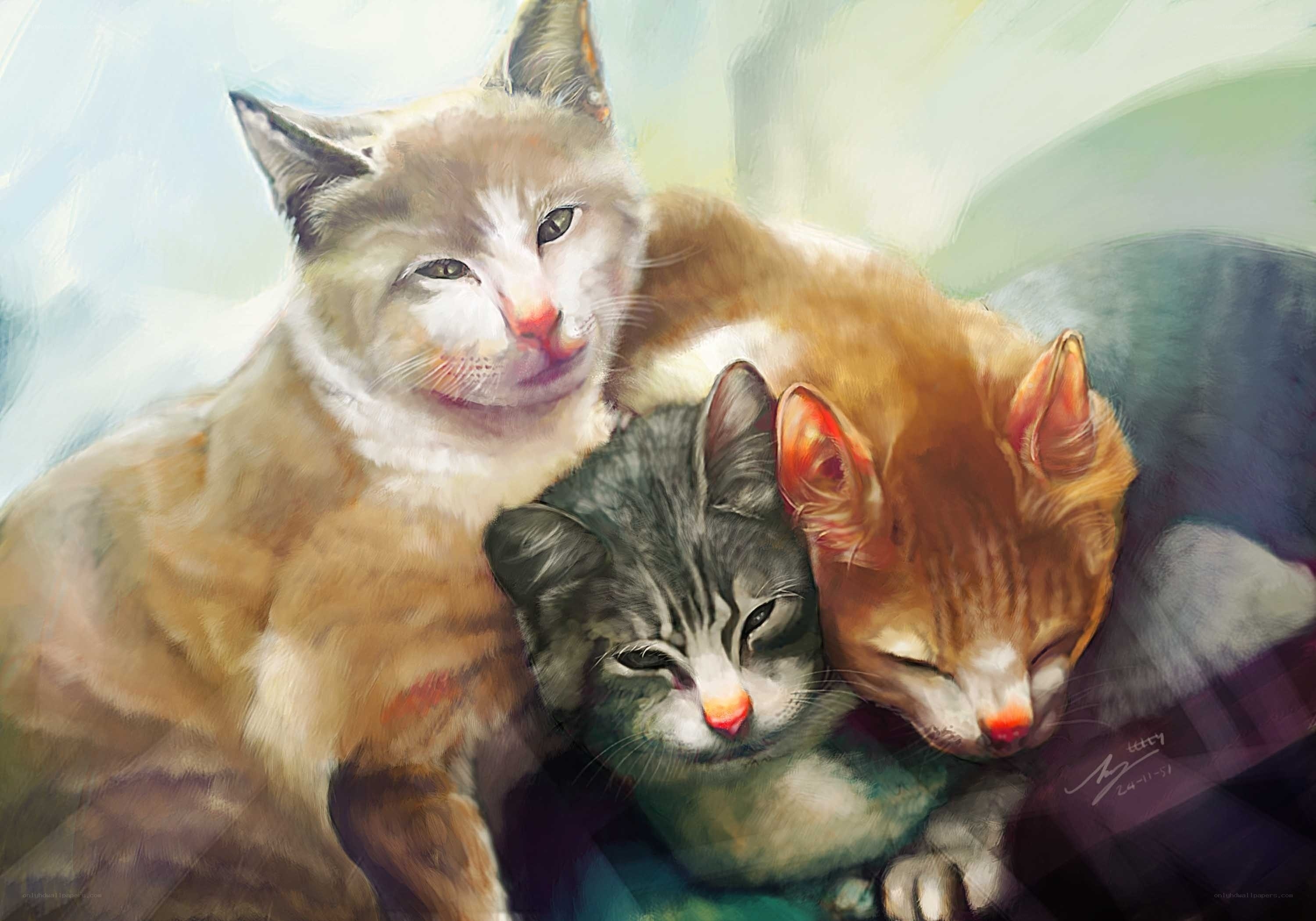 three cats cuddling together