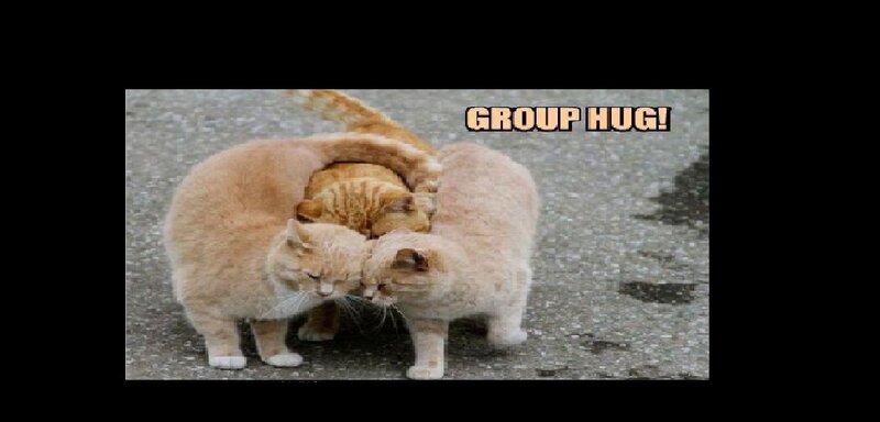 Three Cats Hugging — Orange