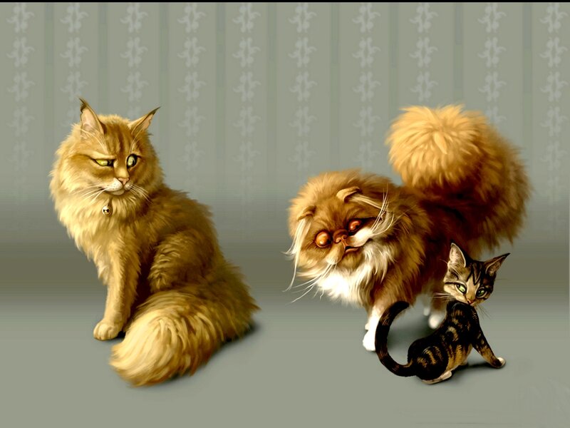 Three Cats in a Room — Brown