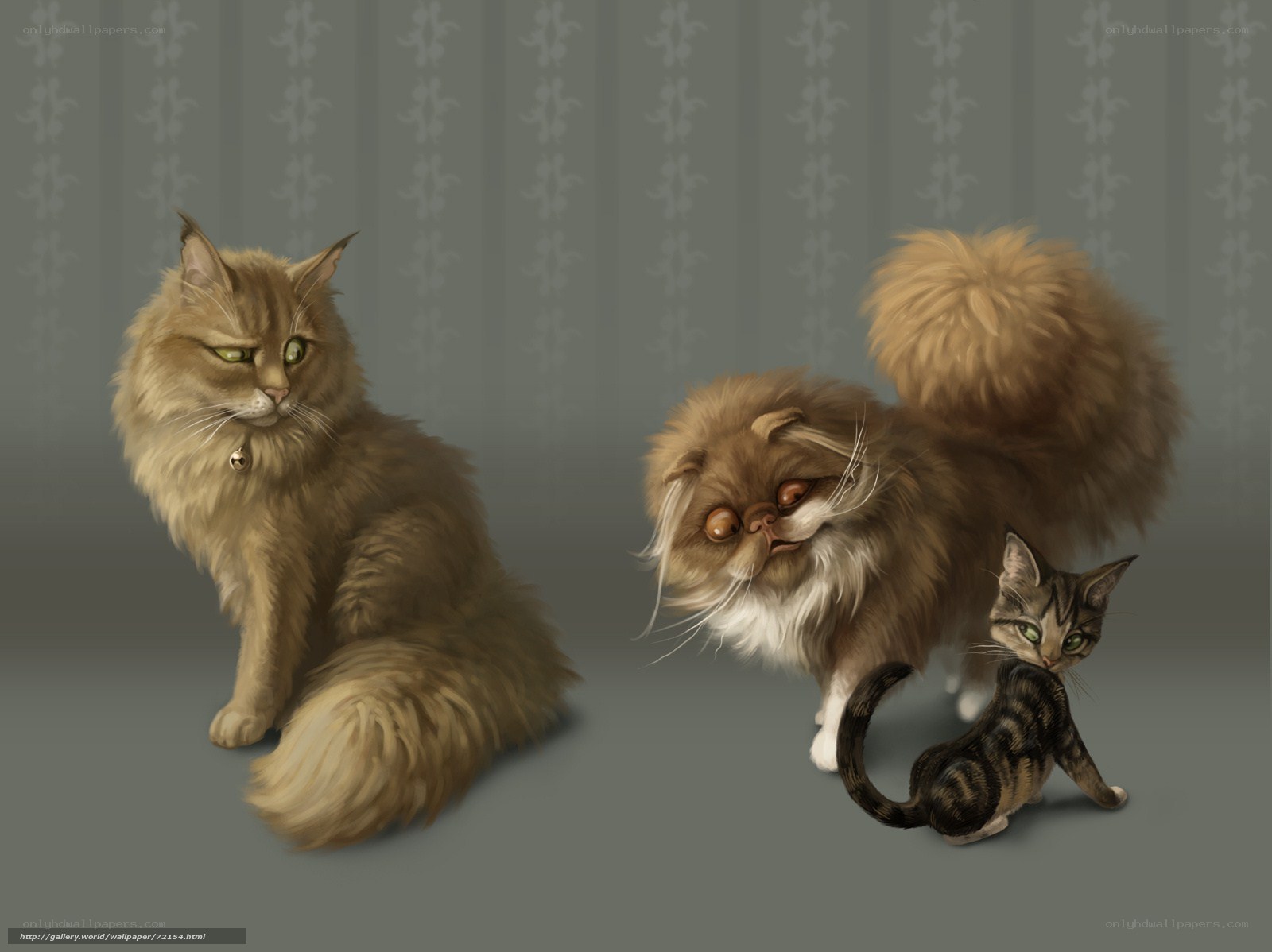 Three cats in a room