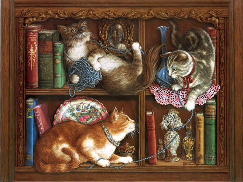 Three Cats in Bookshelf — Brown