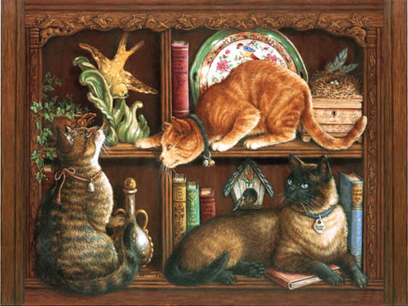 Three Cats in Bookshelf