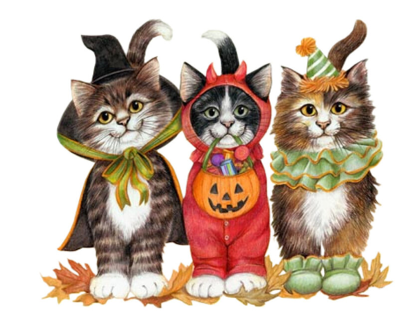 Three Cats in Costumes — Brown