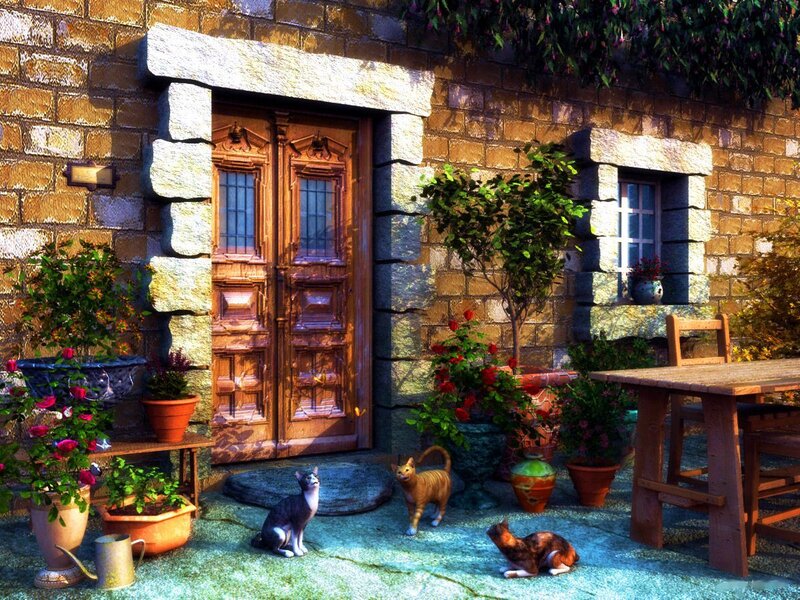 Three Cats in Courtyard