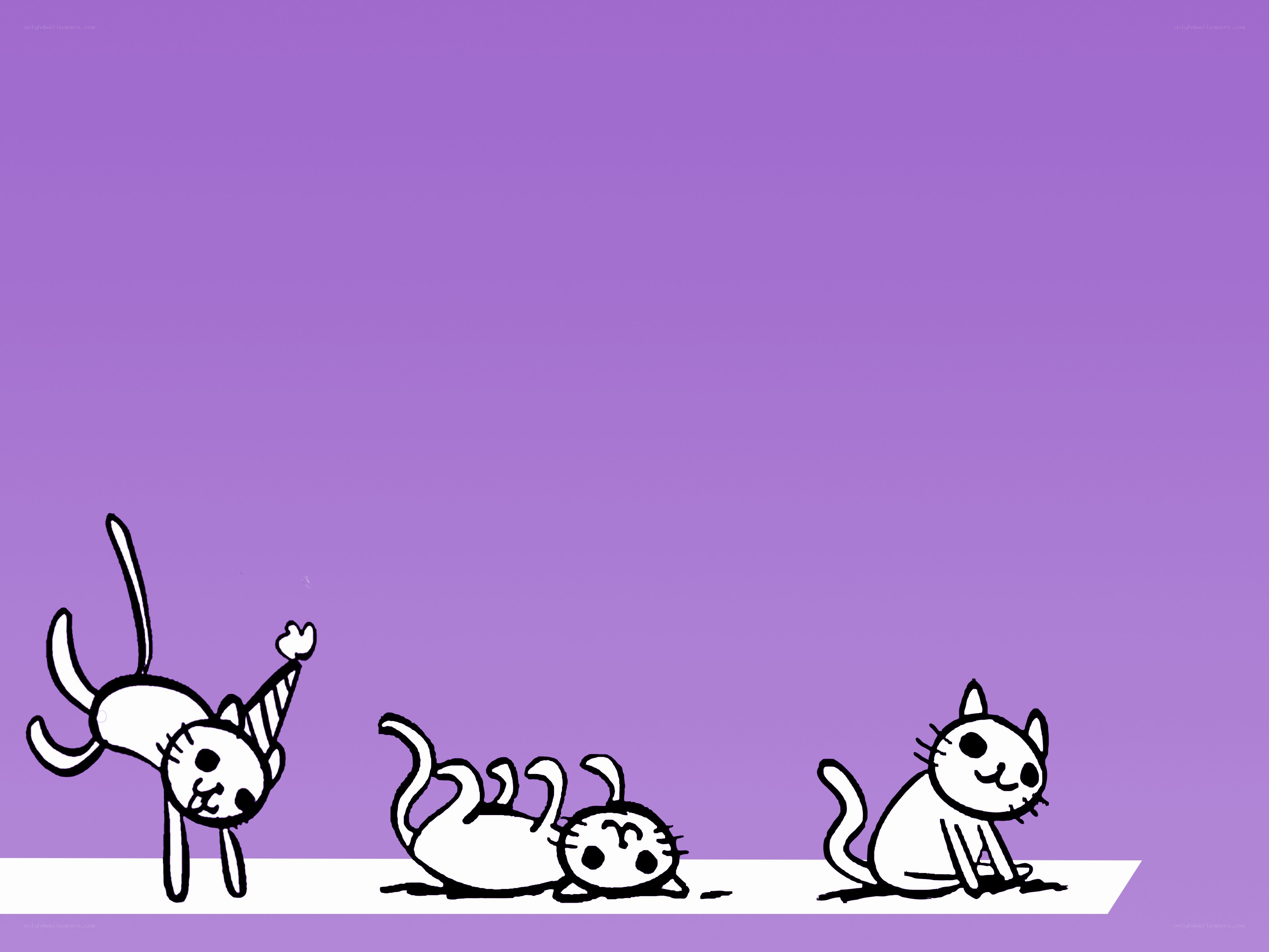 Three cats in different poses