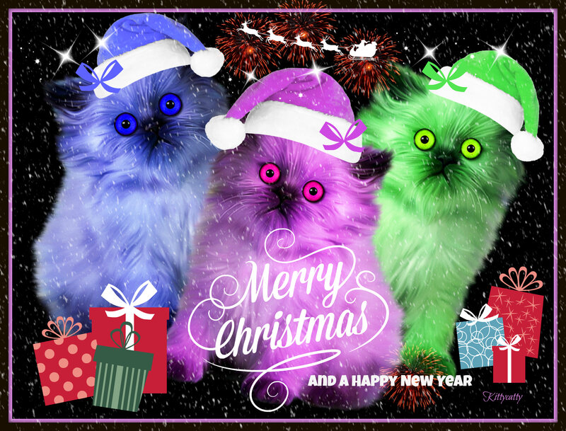 Three Cats in Hats